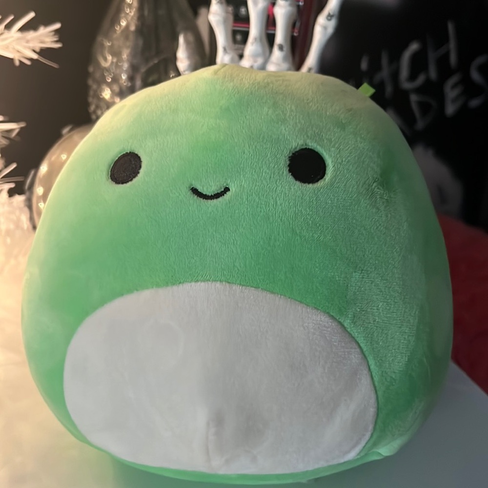 Squshmallow-Henry the turtle.